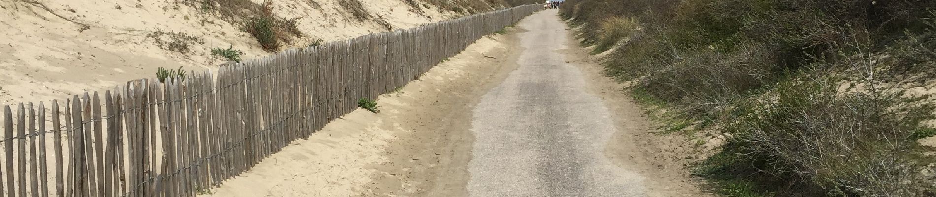 Randonnée Marche Cayeux-sur-Mer - Le hourdel  10/04/2019 baie de somme - Photo