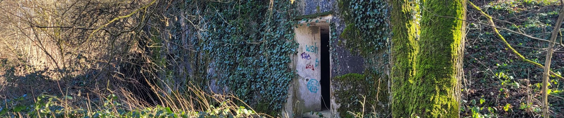 Tocht Stappen Sevenans - Randonnée des forts depuis Sévenans - Photo