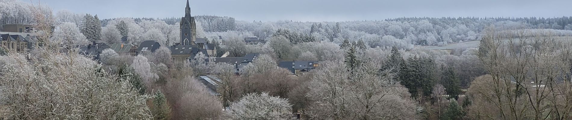 Tocht Stappen Libin - rando redu 31-12-2024 - Photo