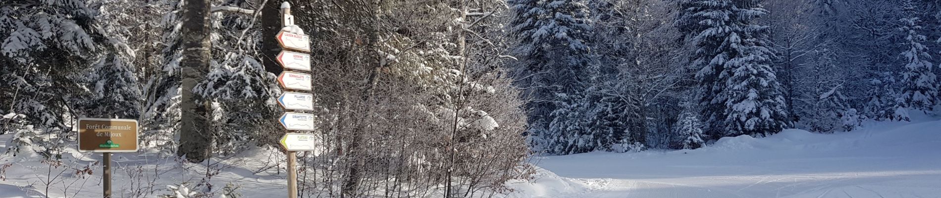 Tocht Langlaufen Mijoux - Les louvatieres en coupant par le passage des dames - Photo