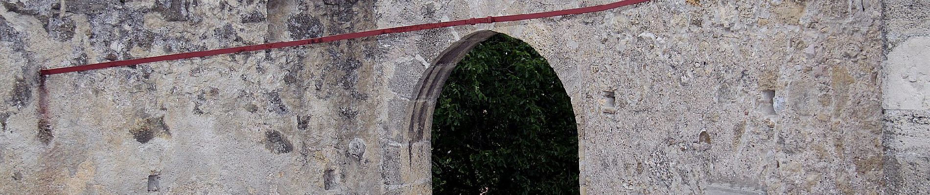 Percorso A piedi Gemeinde Würflach - Würflach - Lärbaumkreuz - Photo