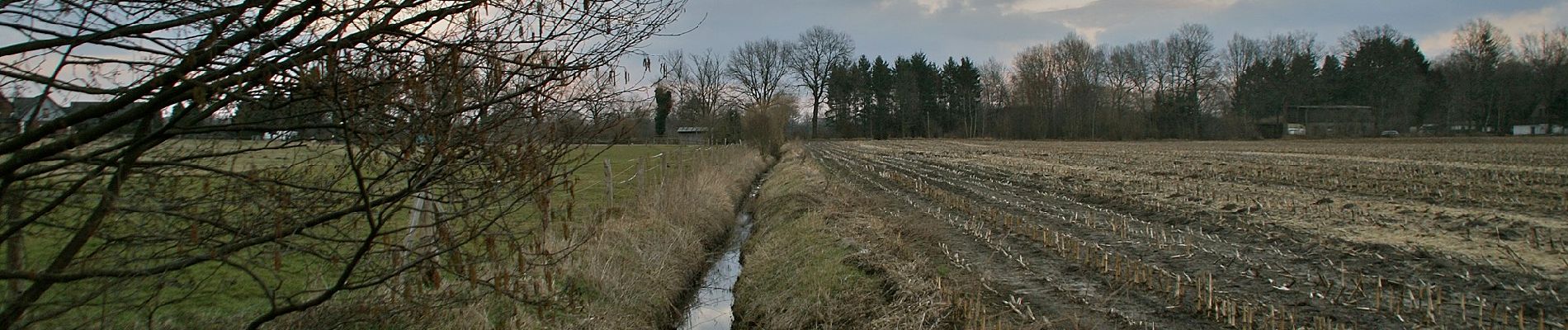 Trail On foot Tangstedt - Burgen und Schleusen von Bargfeld-Stegen - Photo