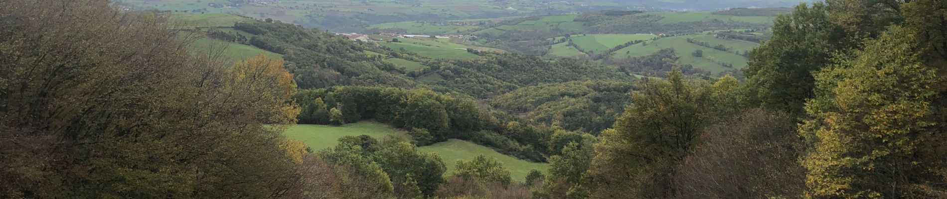 Excursión Bici de montaña Chabanière - Chabaniere génilac  - Photo