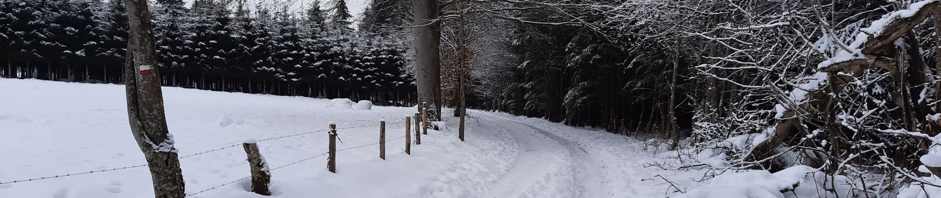 Randonnée Marche Malmedy - Fagne - Cascade du Bayon - Photo