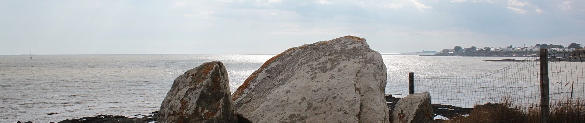 Tocht Te voet Billiers - Mégalithes entre Marais et Océan - Photo