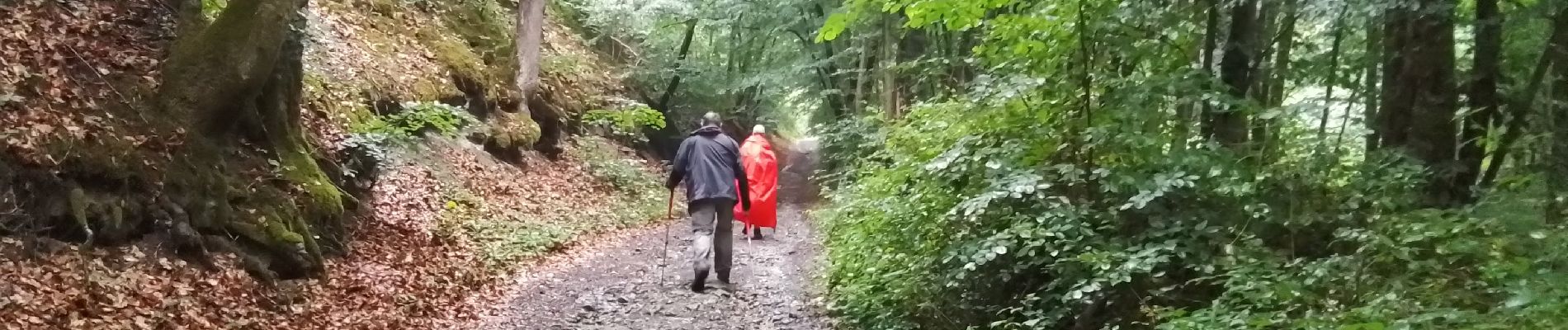 Tocht Stappen Sainte-Menehould - la Granges aux Bois complément - Photo