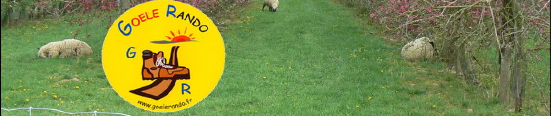 Tocht Stappen Versigny - SM_DROIZELLES_ 8Km - Photo