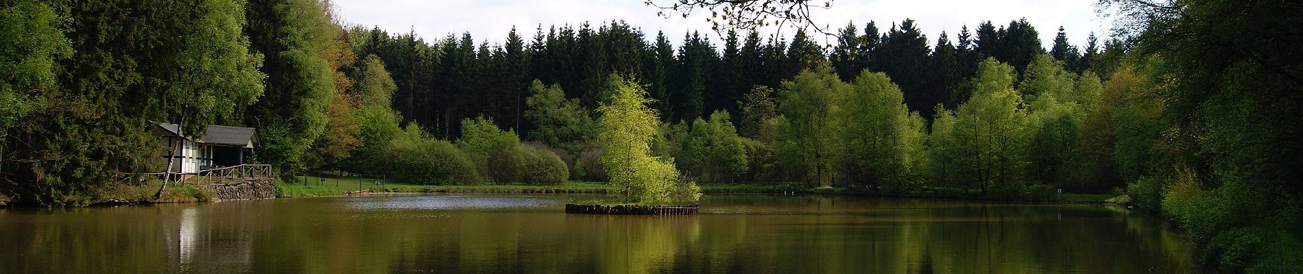 Tour Zu Fuß Kirchhundem - (K) Rundweg Kirchhundem - Photo