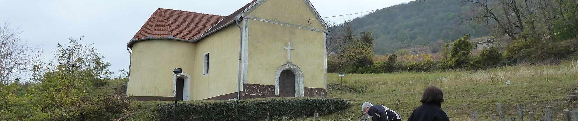 Percorso A piedi Magyarpolány - S (Somló) - Photo