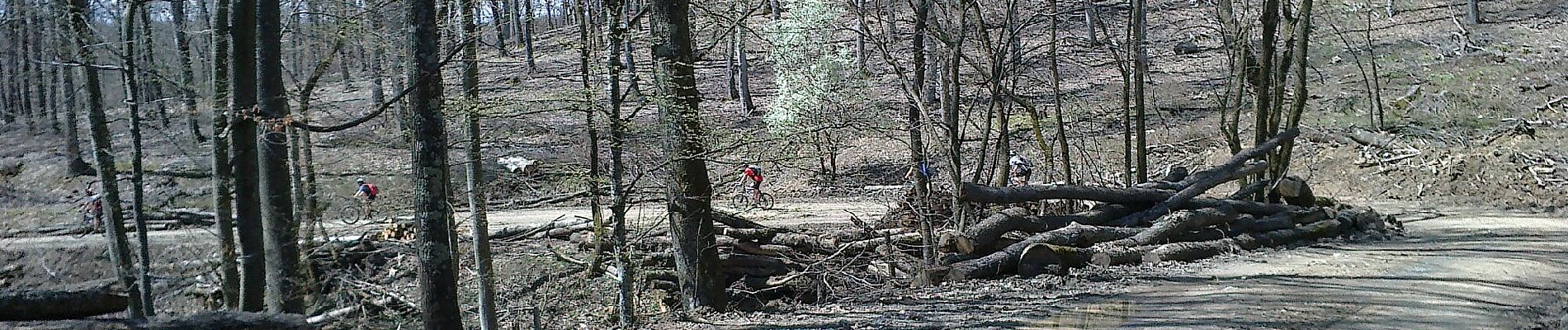 Tour Zu Fuß Unknown - Kutjevo - Dobra Voda - Photo