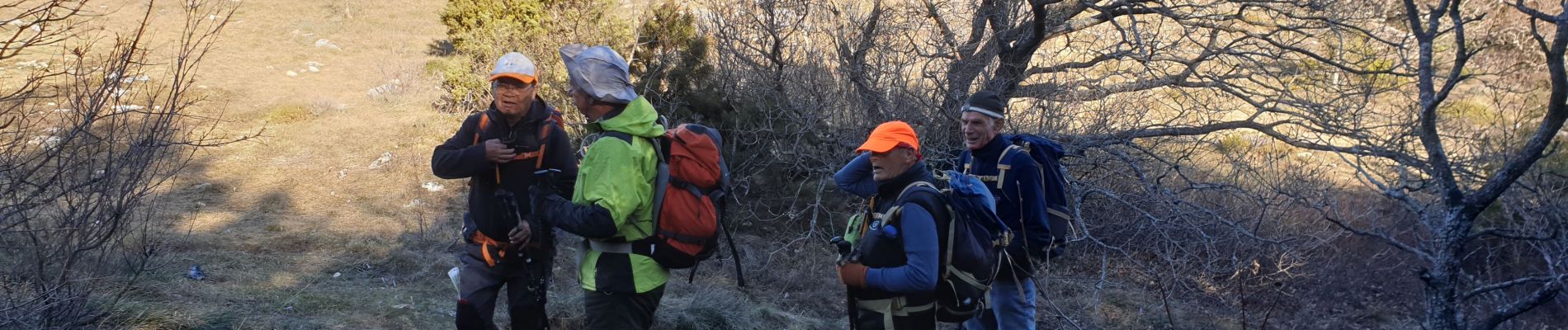 Tour Wandern Plan-d'Aups-Sainte-Baume - La Sainte Baume - Photo