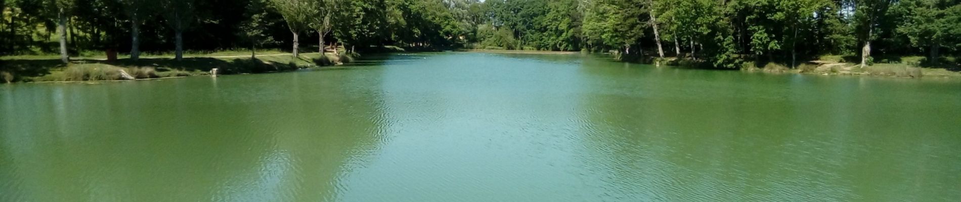 Trail Walking Saint-Félix-Lauragais - c2pa-lenclas-15/05 - Photo
