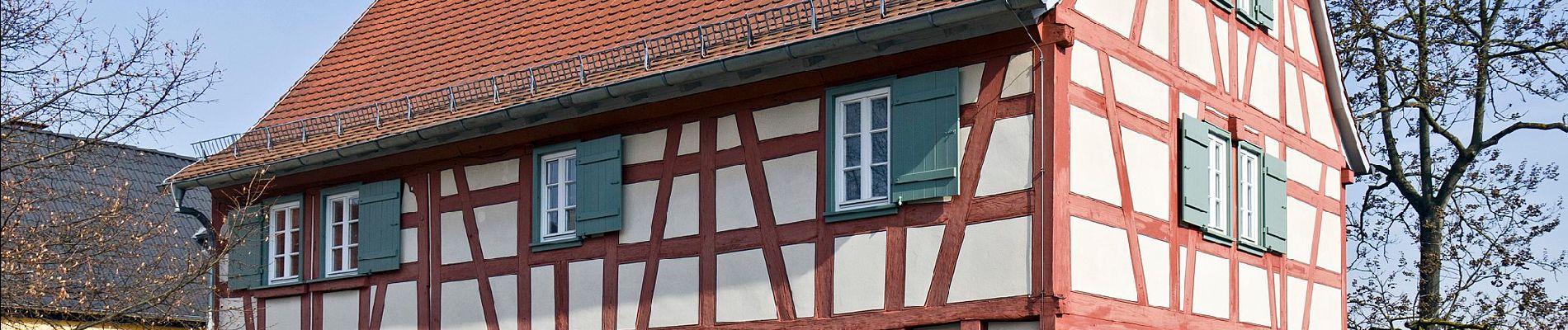 Tour Zu Fuß Riedstadt - Goller Erlebnispfad Altes Neckarbett - Photo