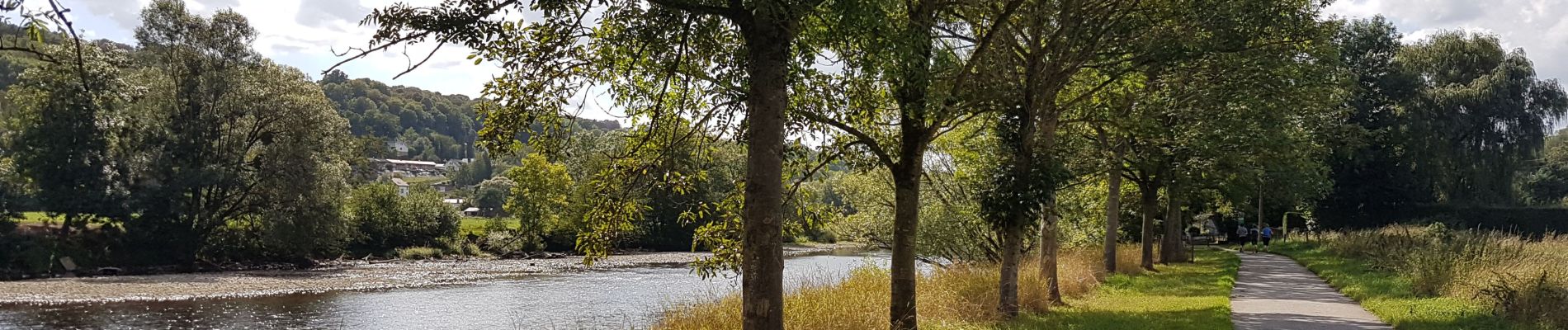 Tour Wandern Esneux - Hony - La Roche aux Faucons - Esneux - Photo