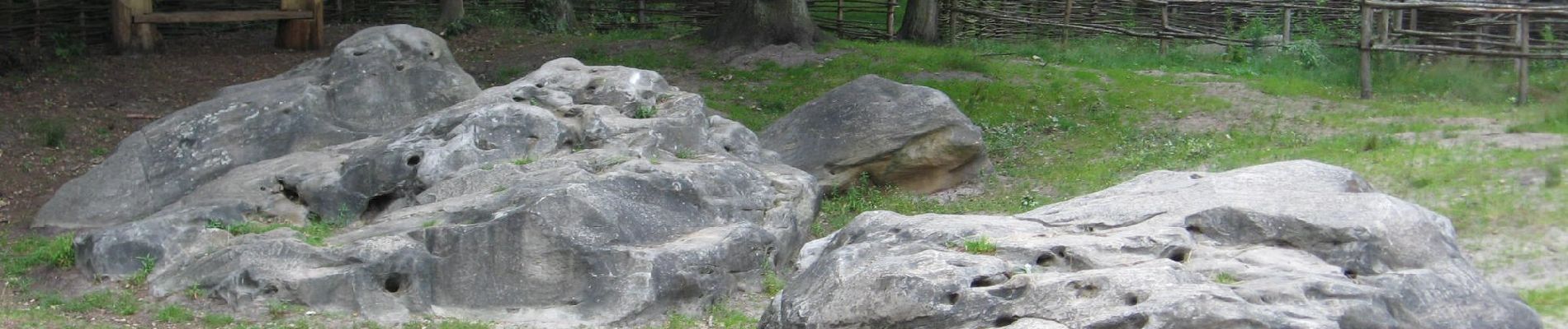 Tour Zu Fuß Zonhoven - Holsteen-Molenheide Gele wandeling - Photo