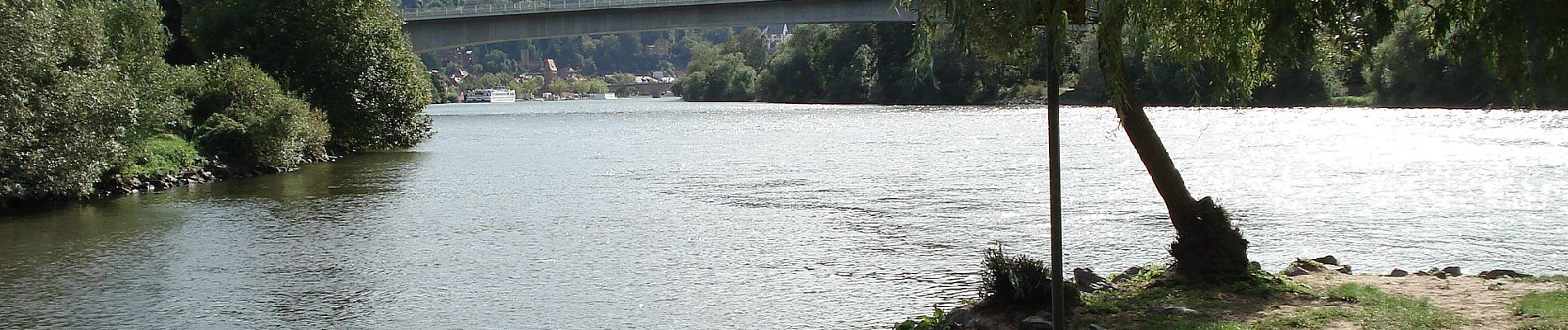 Randonnée A pied Großheubach - W gelb, Großheubach Engelberg Rundwanderweg - Photo