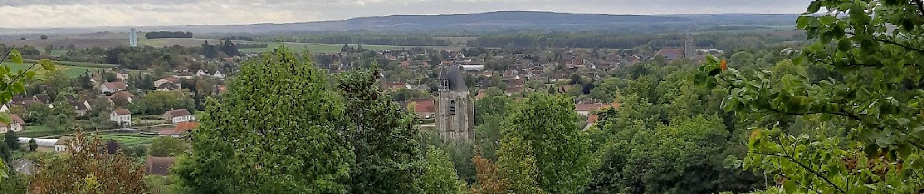 Randonnée Marche Villenauxe-la-Grande - VILLENAUXE 2 le vignoble, les bois, la rivière Noxe, le village - Photo