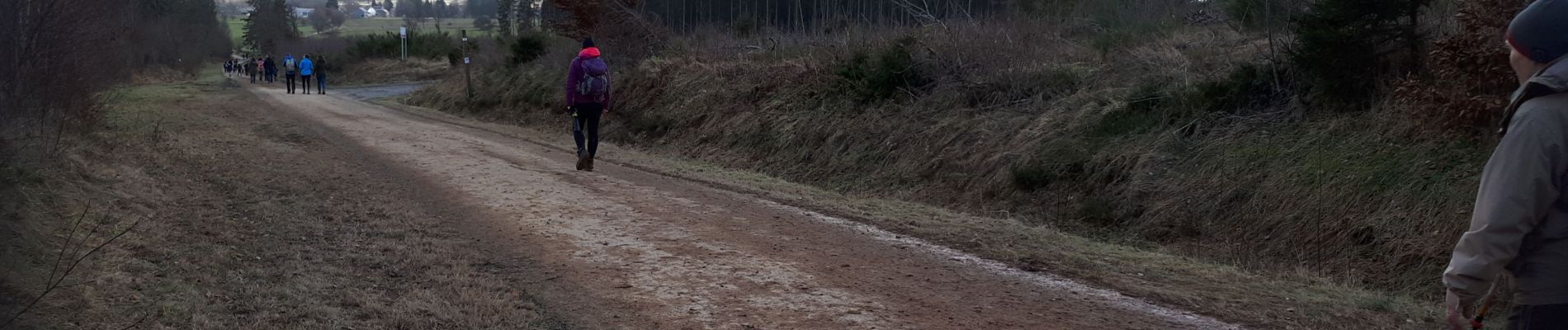 Tocht Stappen Gouvy - Courtil- Lupulus - Photo