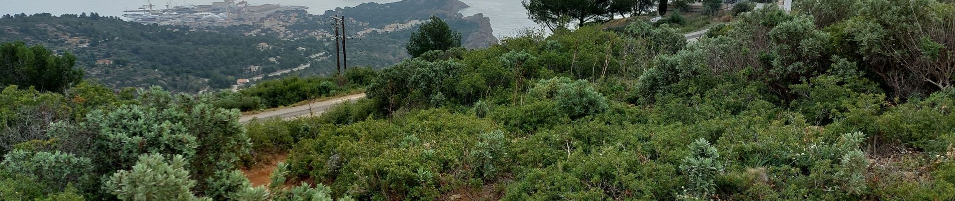 Percorso Marcia La Ciotat - la ciotat ND la garde vers le sémaphore par les chemins  - Photo