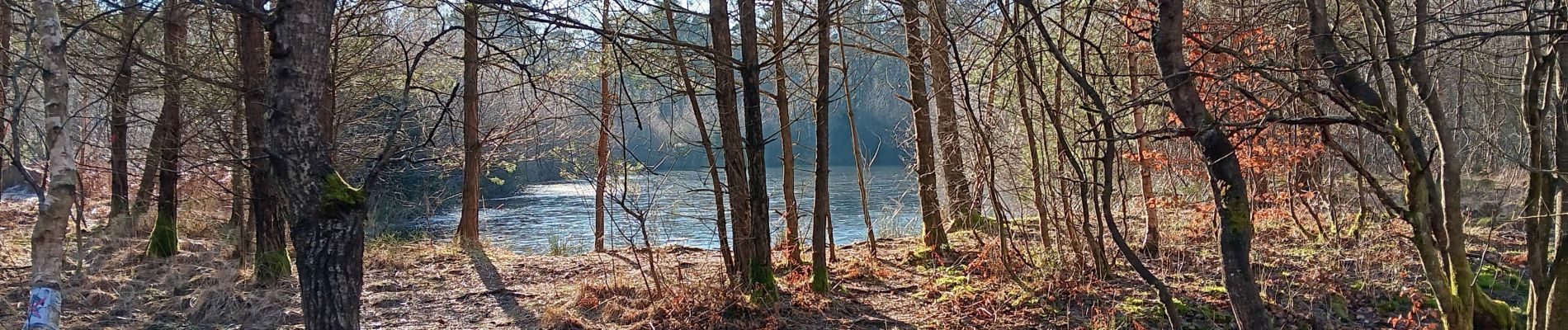 Tocht Stappen Spa - grand tour de la la fagne via chemin didactique - Photo