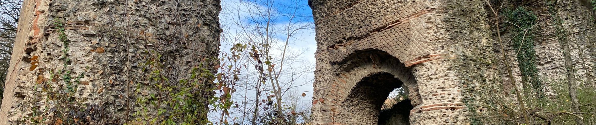 Tour Wandern Chaponost - Randonnée chouchou - Photo