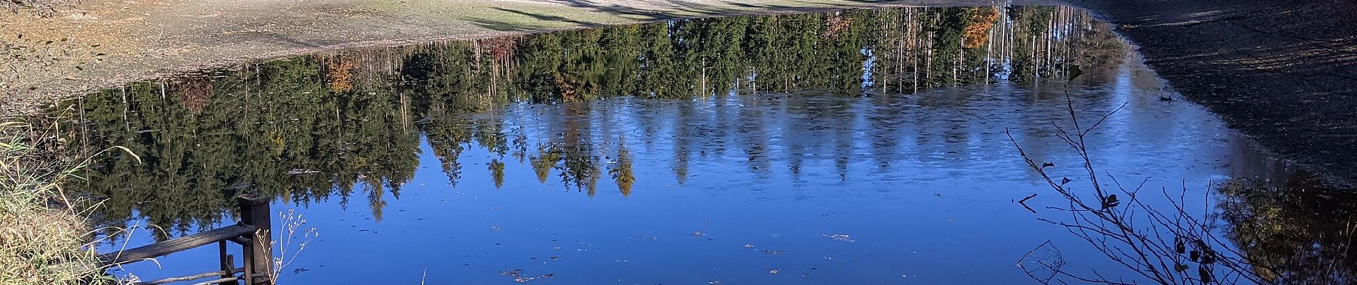 Randonnée A pied Chotoviny - [Ž] U Obrázku - Sudoměřice - Chotoviny - Photo