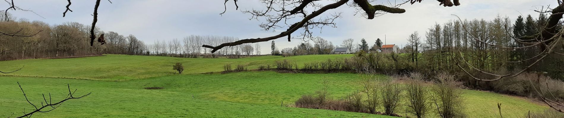 Tour Wandern Tinlot - Le tour des petits avions - Photo