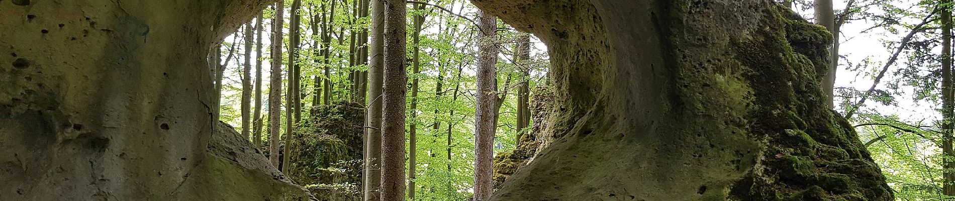 Trail On foot Betzenstein - Betzenstein Rundwanderweg Grosser Wasserstein - Photo