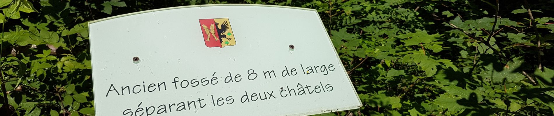 Tocht Stappen Champagney - Grotte prisonniers allemands - château Etobon - Etobon - Photo