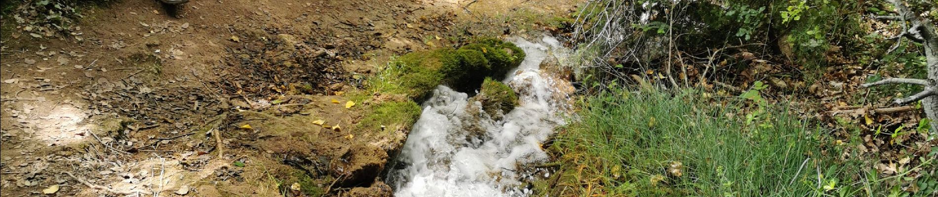 Tour Wandern Signes - Le latay - Photo