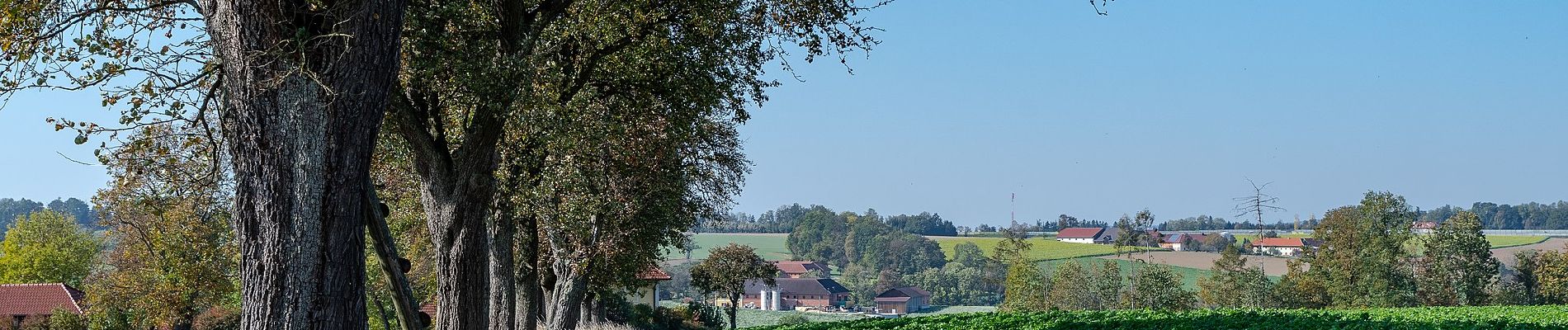 Tocht Te voet Allhaming - Rundwanderweg Laimgräben - Photo