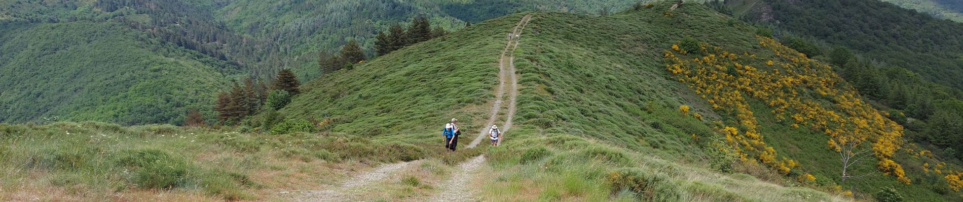 Randonnée Marche Alzon - vers le St guiral puis le rocher de l'aigle - Photo