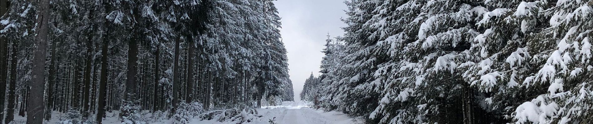 Randonnée Marche Butgenbach - Dans la neige  - Photo