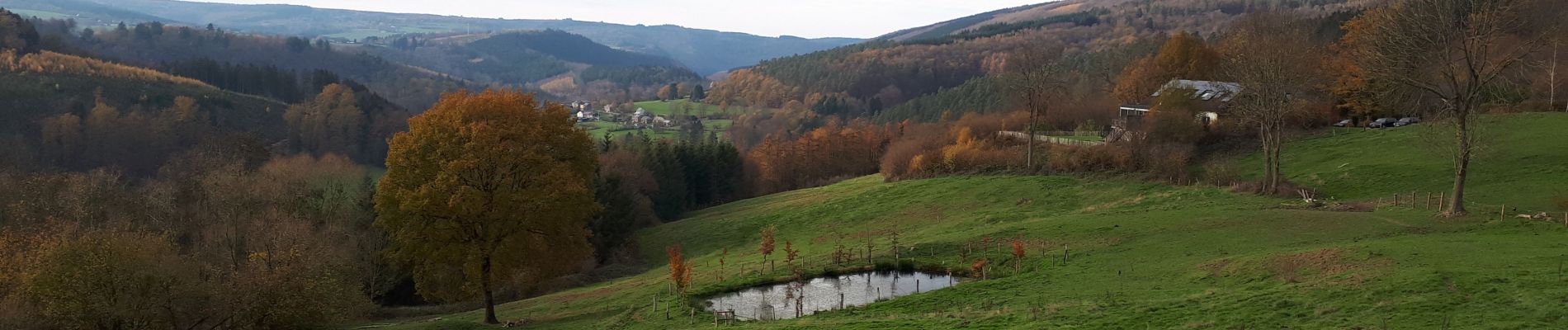 Randonnée Marche Stoumont - Stoumont Extra Trail bleu - Photo