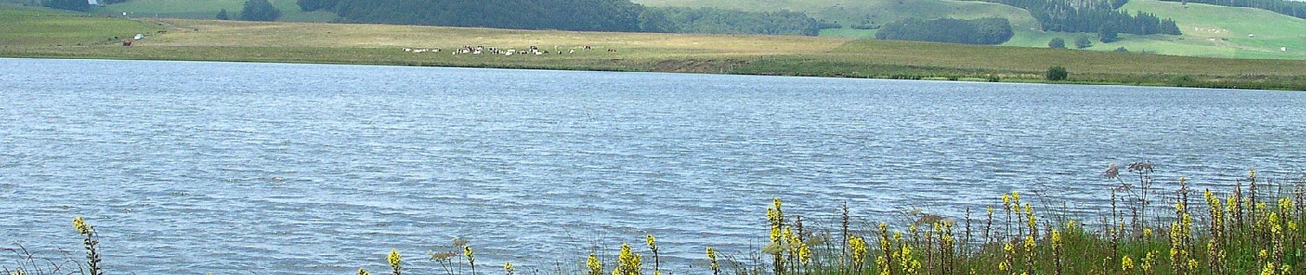 Percorso A piedi Besse-et-Saint-Anastaise - Le Lac de Bourdouze - Photo