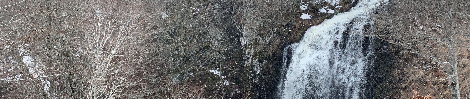 Tour Wandern Picherande -  Boucle lac chauvet (rénover )o - Photo