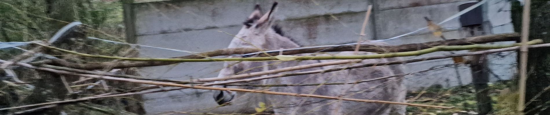 Tocht Stappen Conflans-sur-Loing - Conflan sur loing 45 - Photo