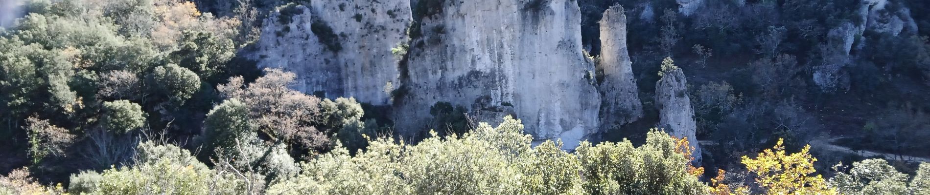 Trail Running Belgentier - les aiguilles de Valberg  - Photo