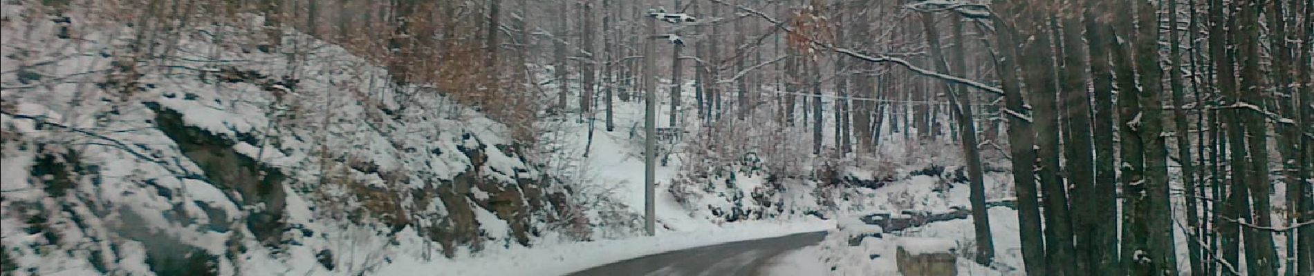 Tour Zu Fuß Nucet - Șaua Vârtop - Groapa Ruginoasa - Pietrele Negre - Photo