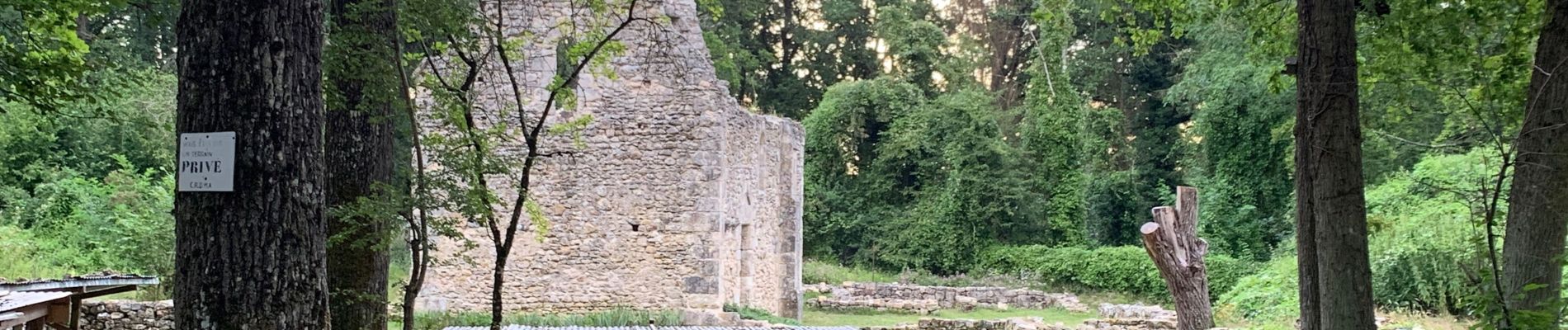 Excursión Senderismo Le Vaudoué - Le Vaudoué entre champs et forêt - Photo