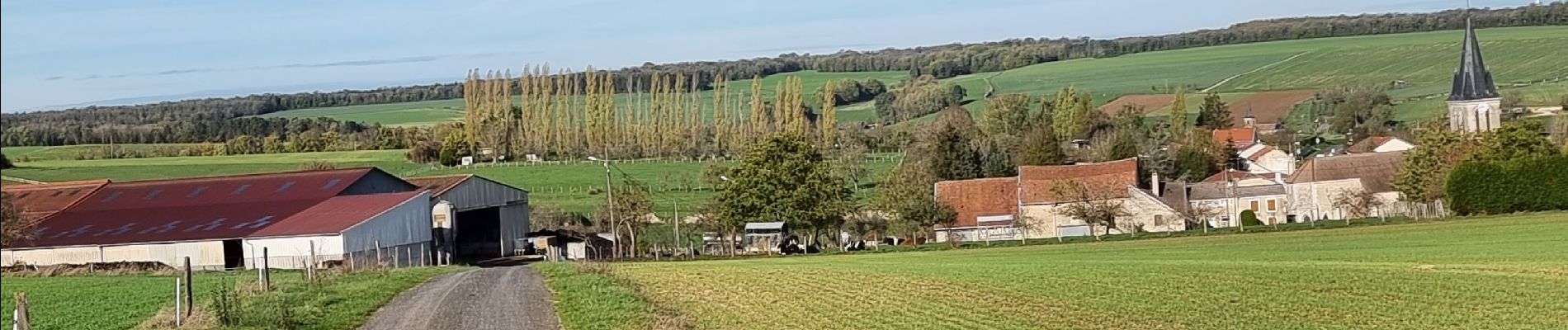 Randonnée Marche Coussey - de Coussey à Vouthon  - Photo