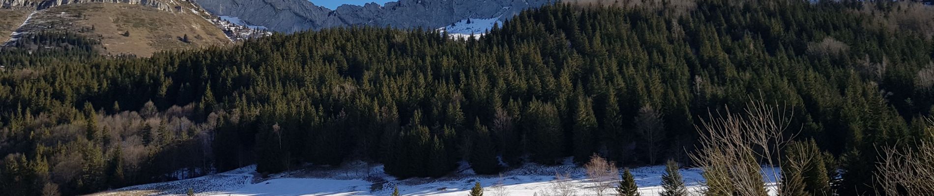 Randonnée Marche Villard-de-Lans - cabane de robon - Photo