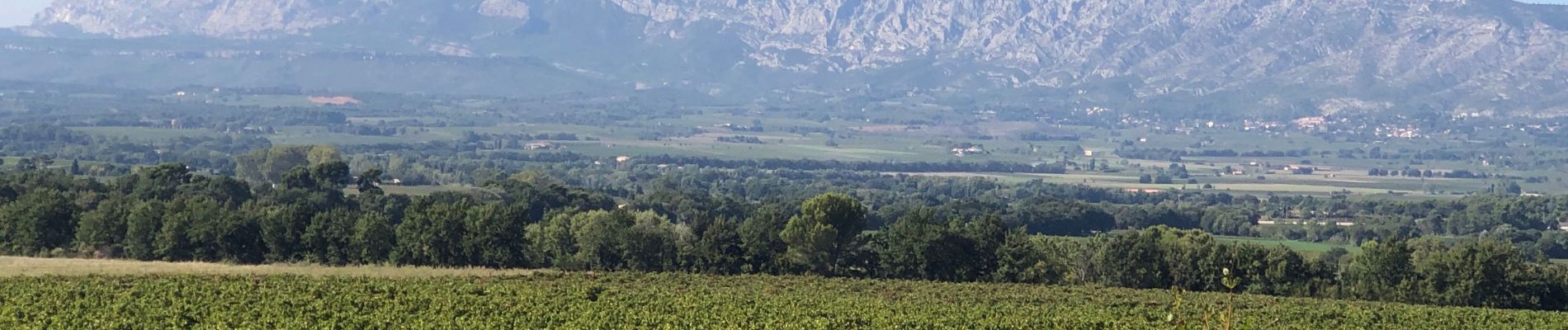 Trail Walking Pourrières - POURCIEUX (83) le Mont Olympe - le Rocher de Onze Heures - Photo