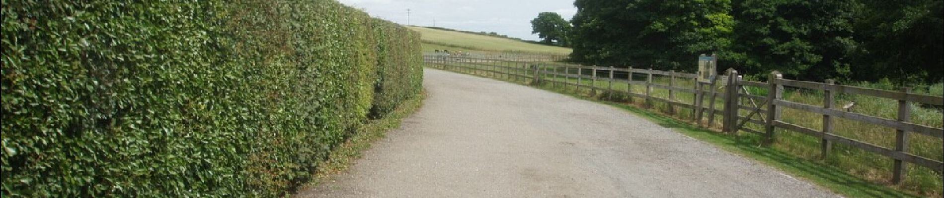 Trail On foot Welwyn Hatfield - WGC100 Centenary Walk - Photo