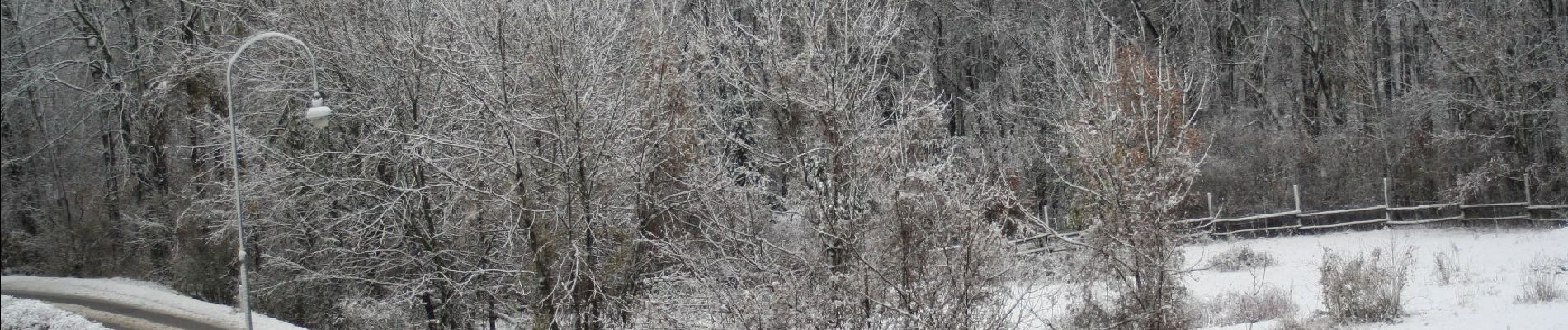 Tocht Te voet Gemeinde Klosterneuburg - Klosterneuburg - Hinterweidling - Photo