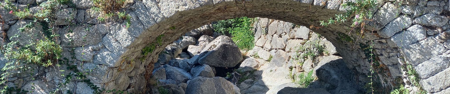 Randonnée Marche Vialas - sud Mont Lozère de Vialas  - Photo