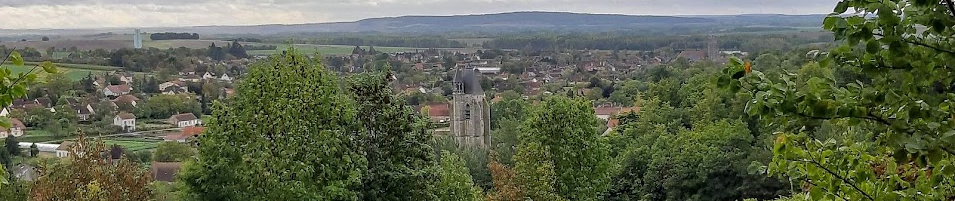 Tocht Stappen Villenauxe-la-Grande - VILLENAUXE LA GRANDE, village et Val de Noxe - Photo