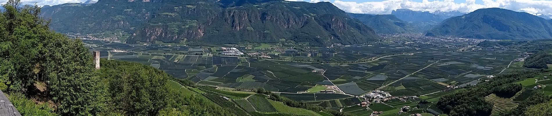 Randonnée A pied Eppan an der Weinstraße - Appiano sulla Strada del Vino - IT-2 - Photo