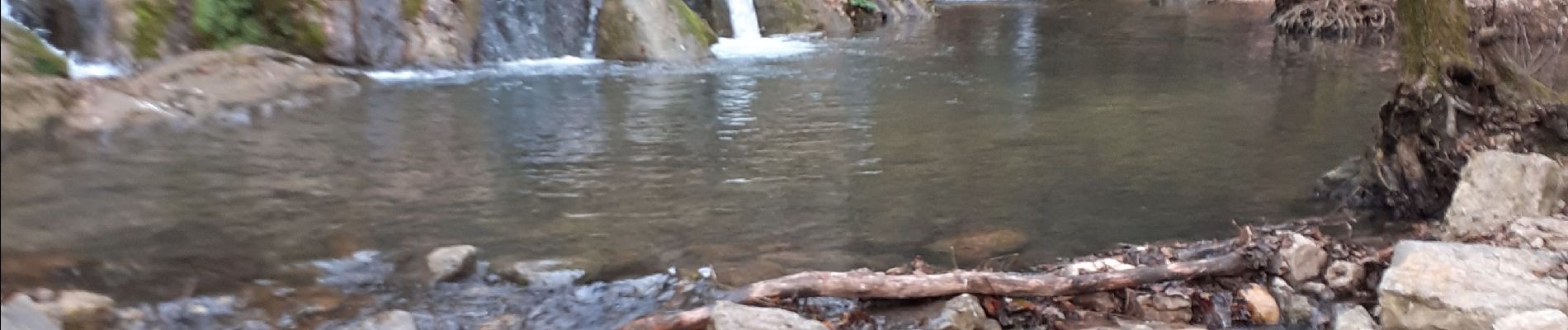 Tour Wandern Méounes-lès-Montrieux - Montrieux le jeune - Photo