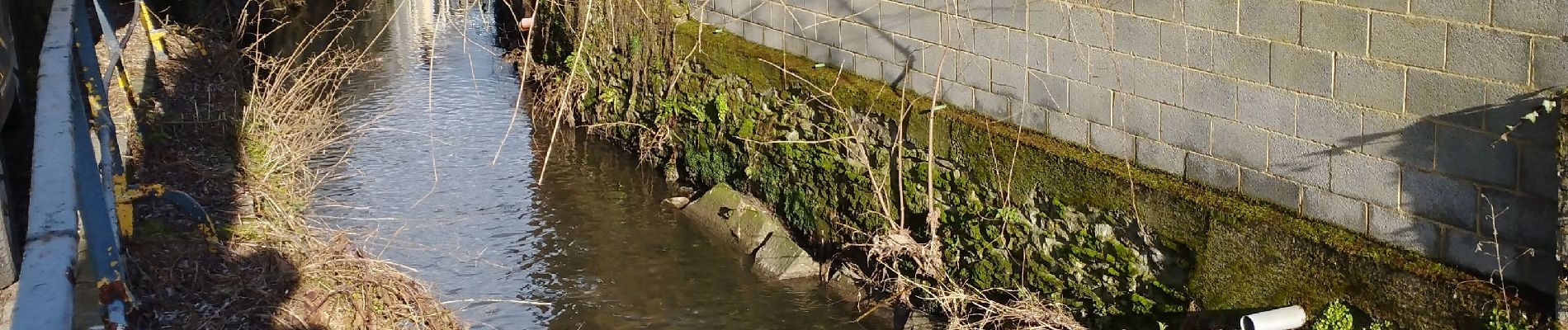 Tocht Stappen Écaussinnes - Ecaussinnes et le Bois de la Houssiere - Photo